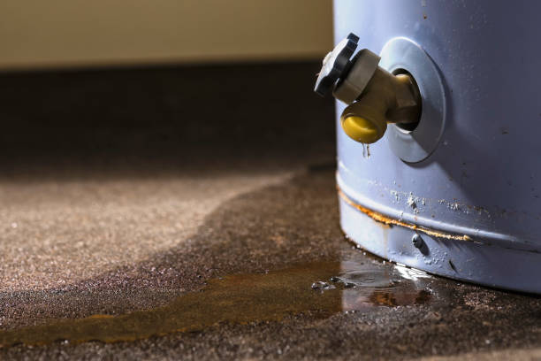 Best 24/7 water damage repair  in Chesapeake, WV