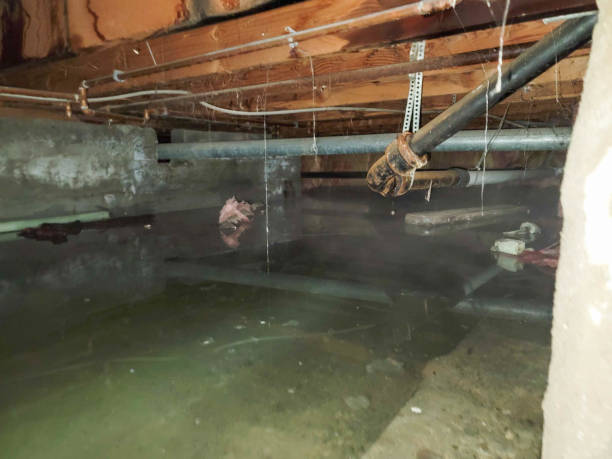 Best Emergency water damage restoration  in Chesapeake, WV
