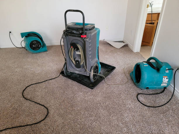 Best Water damage restoration near me  in Chesapeake, WV