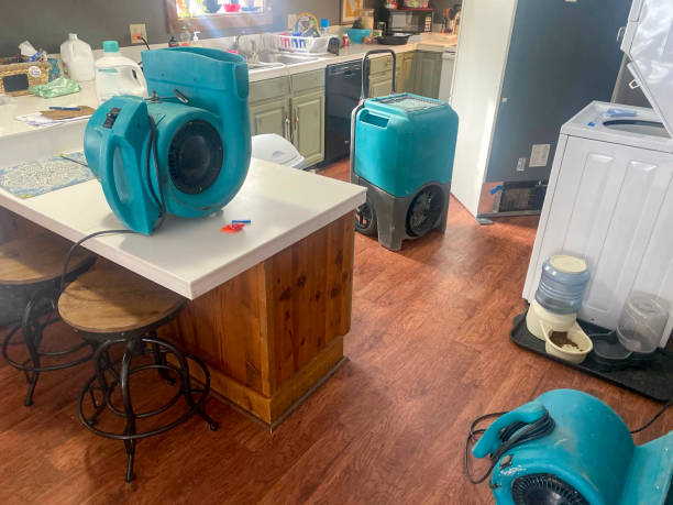Water damage restoration insurance claims in Chesapeake, WV