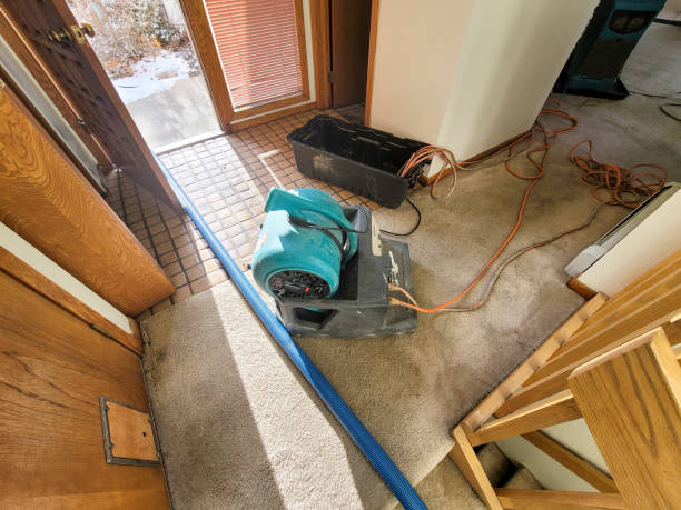 Best Ceiling water damage repair  in Chesapeake, WV