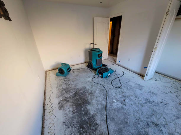 Best Basement water damage restoration  in Chesapeake, WV