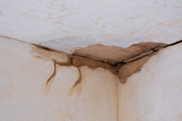 Best Mold removal after water damage  in Chesapeake, WV