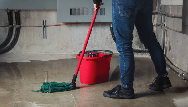 Best Flood damage cleanup  in Chesapeake, WV
