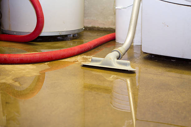 Best Water damage cleanup near me  in Chesapeake, WV