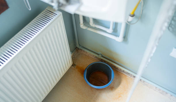 Best Mold removal after water damage  in Chesapeake, WV