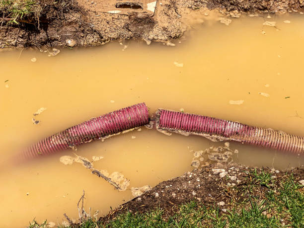 Best Water damage contractors near me  in Chesapeake, WV