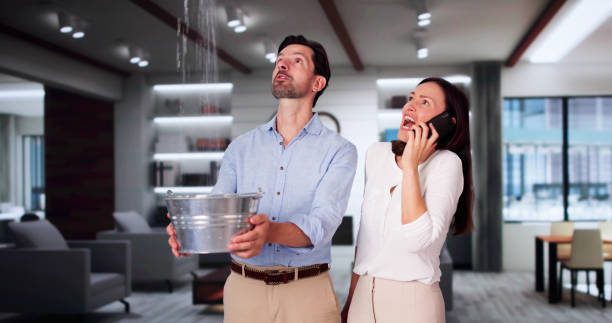 Best Ceiling water damage repair  in Chesapeake, WV