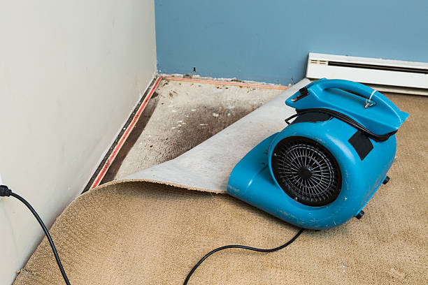 Best 24-hour water damage restoration  in Chesapeake, WV